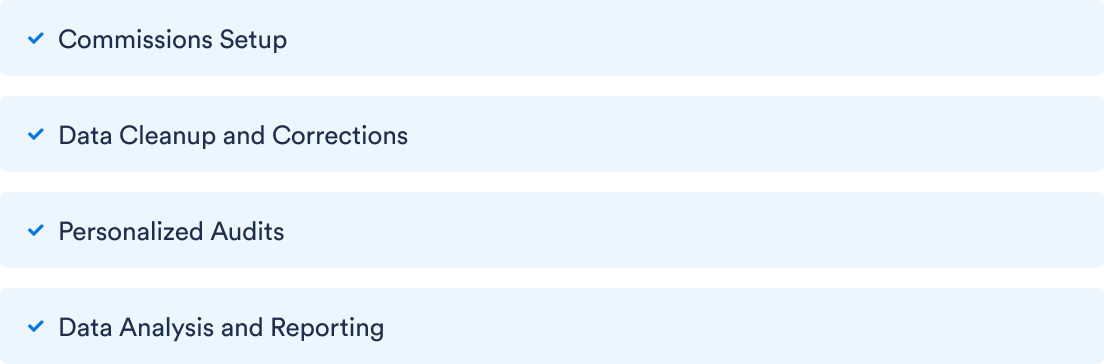 commissions setup, data cleanup and corrections, personalized audits, data analysis and reporting